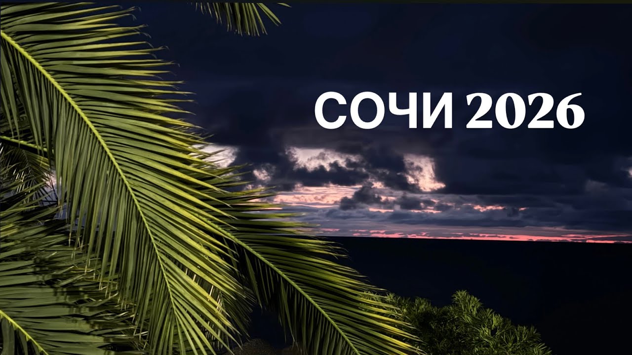 спонтанно улетели в Сочи // три дня ржем без остановки 