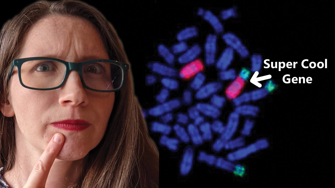 In Situ Hybridization for BEGINNERS