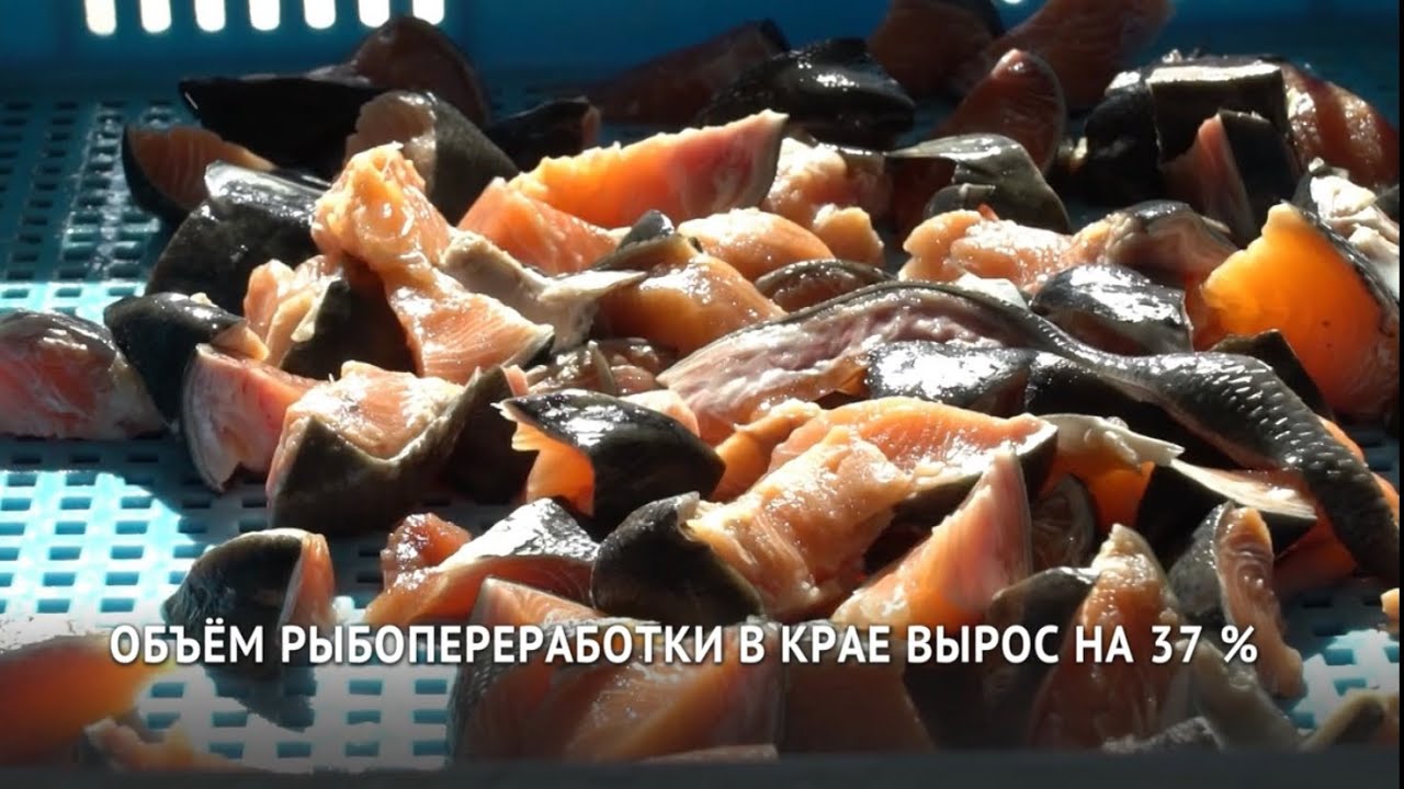 ИНЯ. Рыбопереработка в Хабаровском крае