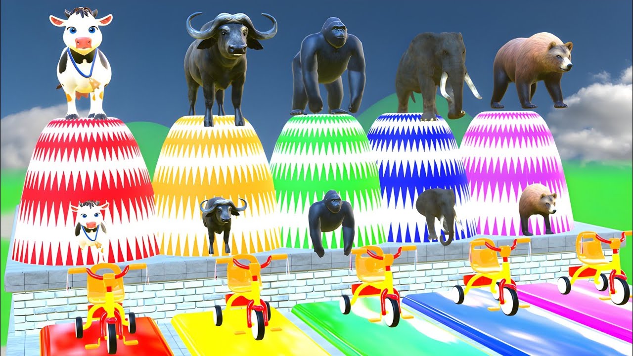 Animals race funny 3danimal game long slide Slide race 