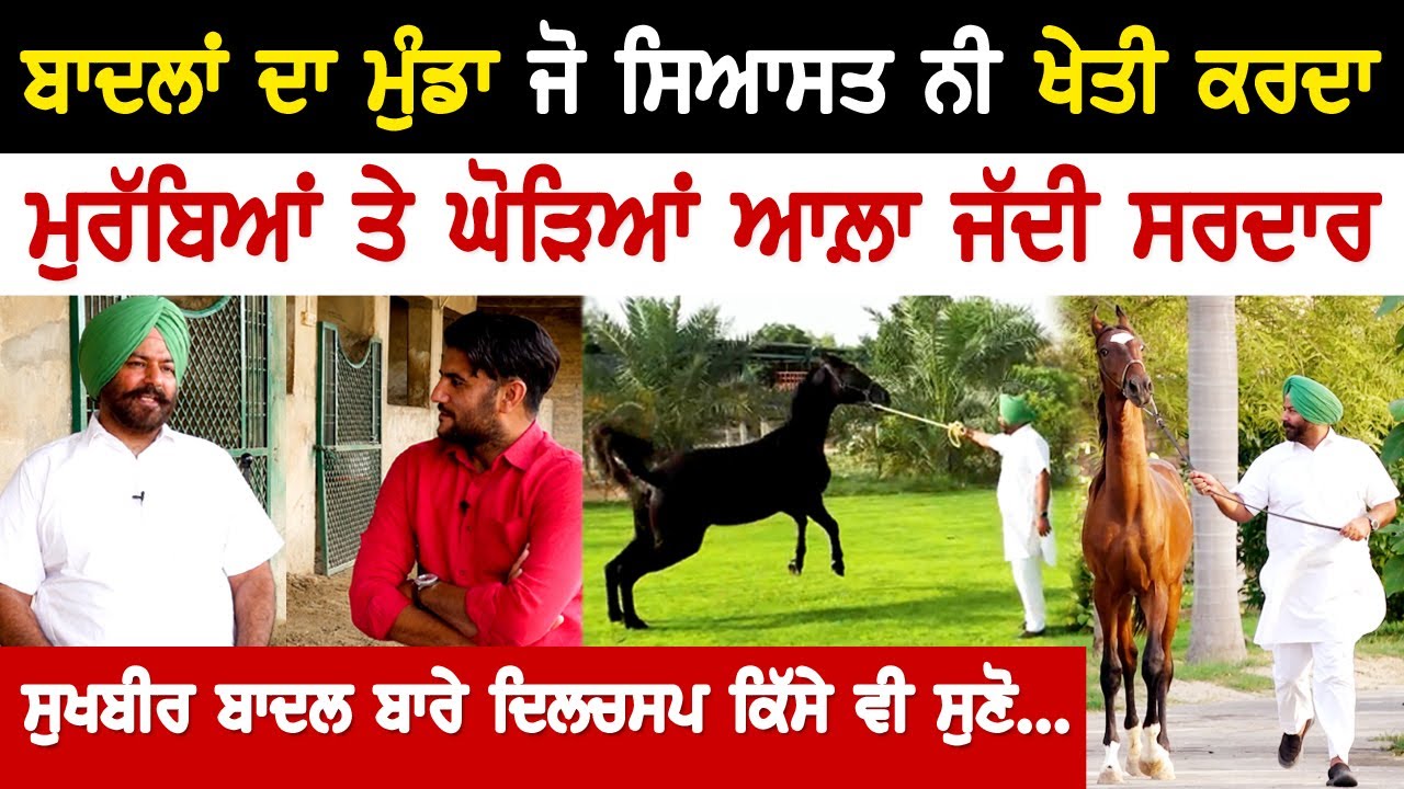 Badal ‘n da munda ਜੋ ਸਿਆਸਤ ਨੀ kheti ਕਰਦਾ, ਮੁਰੱਬਿਆਂ ਤੇ ਘੋੜਿਆ ਆਲ਼ਾ jaddi Sardar | Akhar