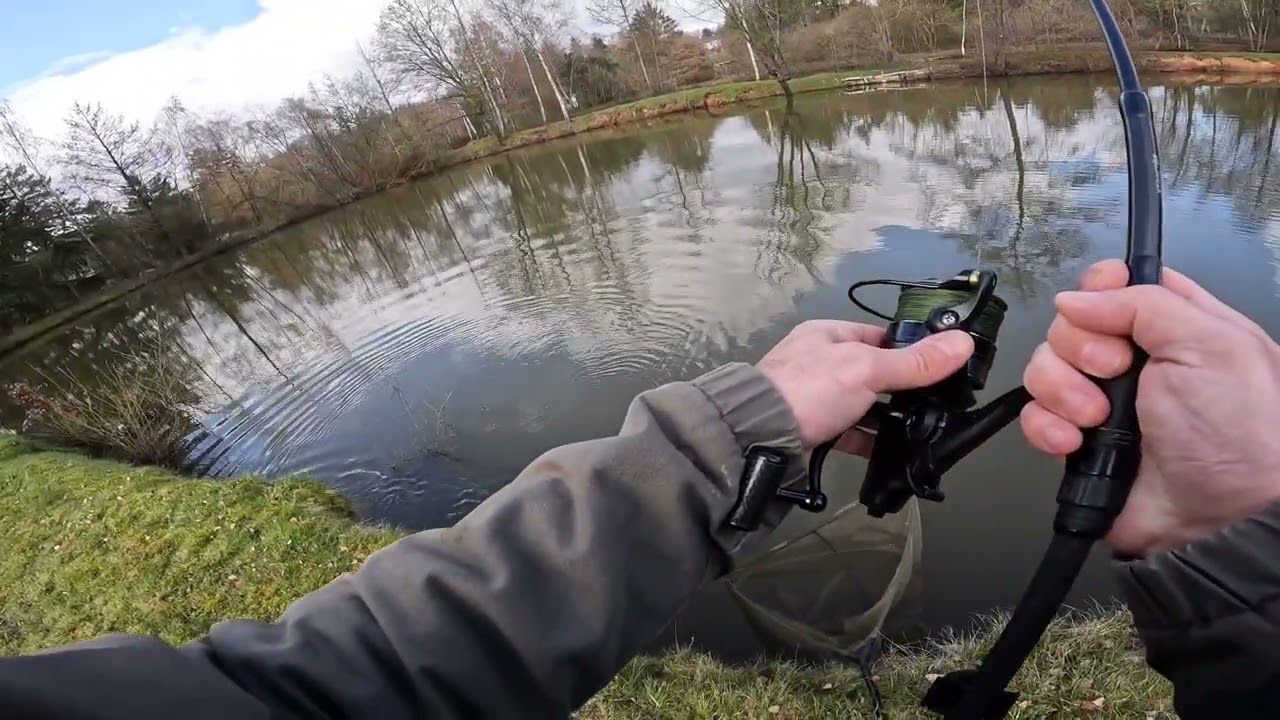 #karpfenangeln am #teich #hunting #jagen #angeln #fischen #fishing #fish #fisch #karpfen #outdoor 