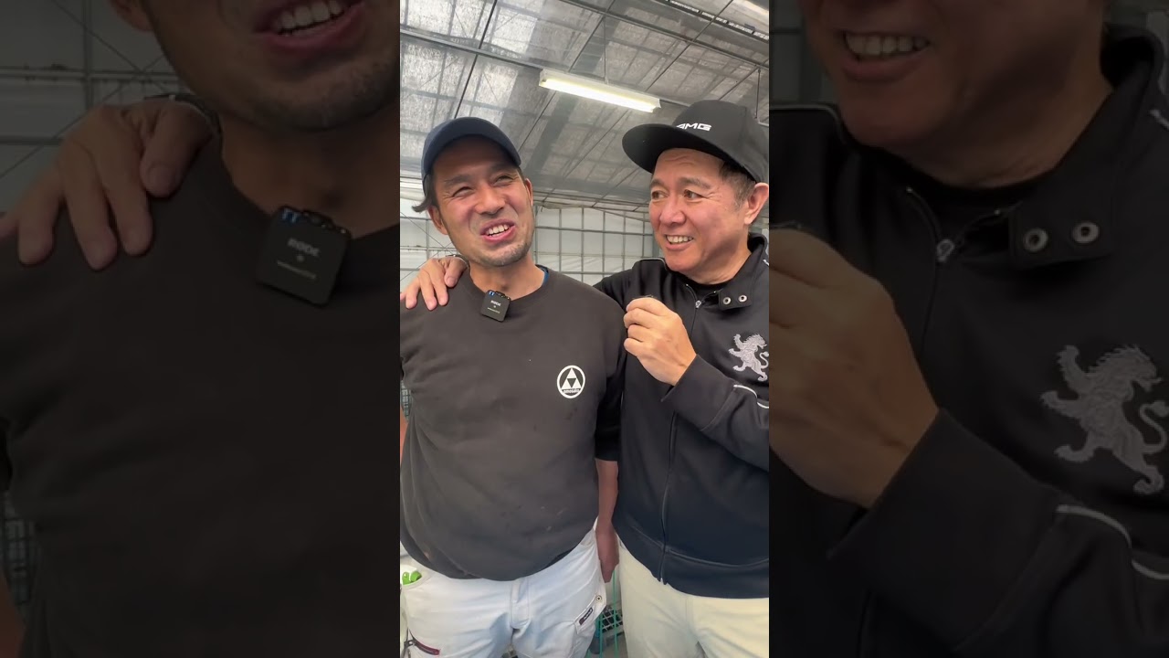 TAKAHiRO - finer points on selecting Omosako Tosai Shiro Utsuri, Showa & Kujaku 