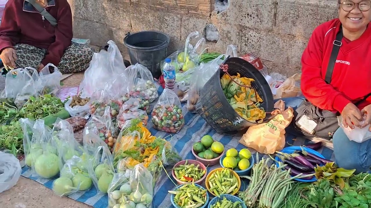 ตลาดนัดวันจันทร์วัดป่าประชาเกษม อำเภอเขมราฐจังหวัดอุบลราชธานี