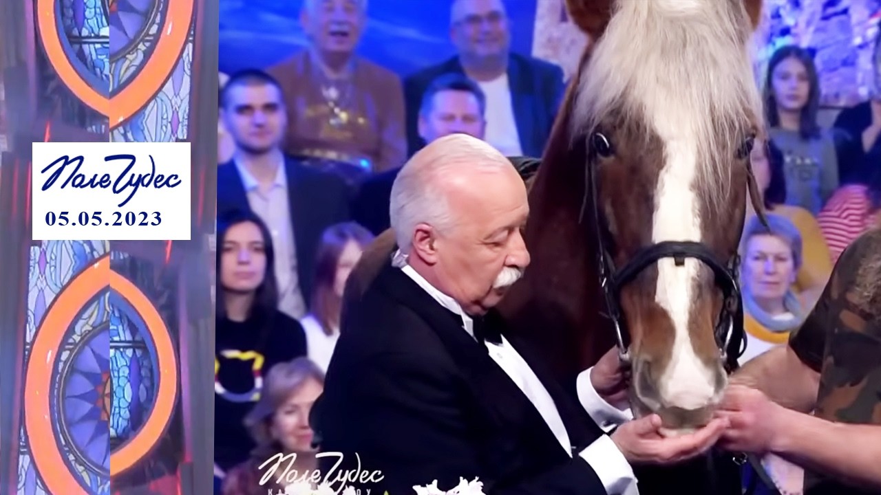 «Горы». Поле чудес. Выпуск от 05.05.2023