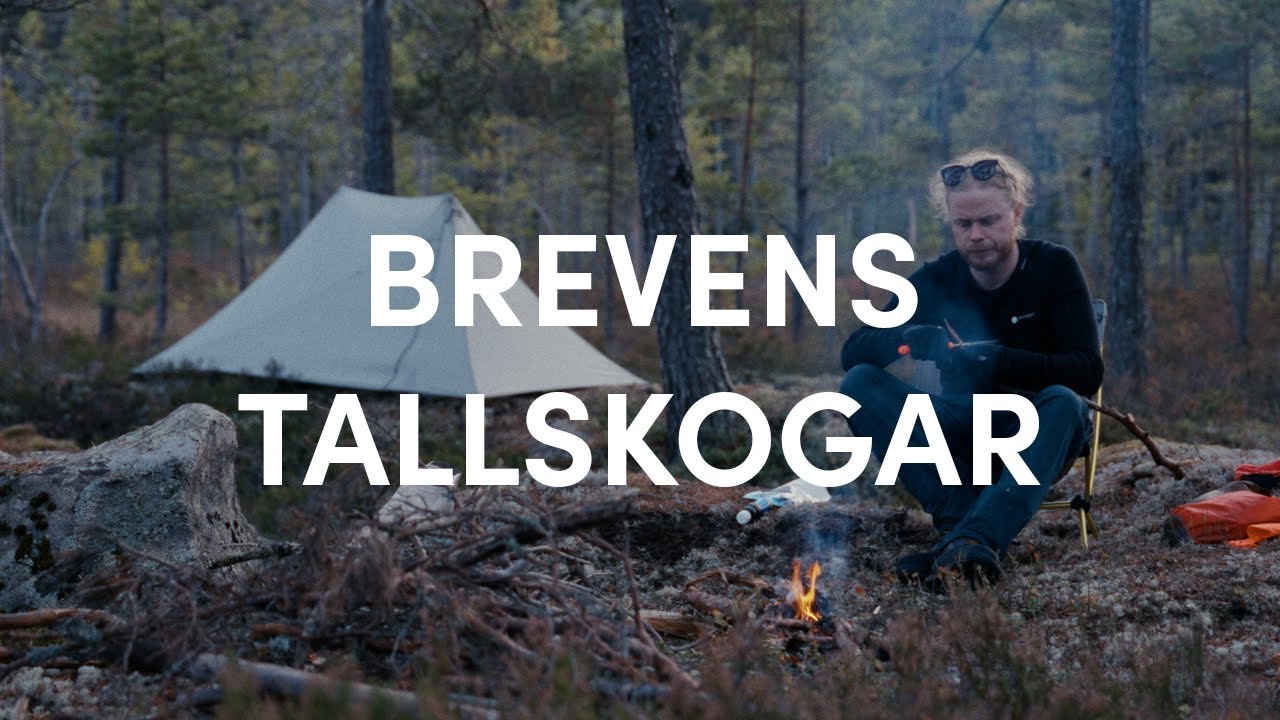 Peaceful autumn overnight hike and camp in Brevens Tallskogar, Sweden