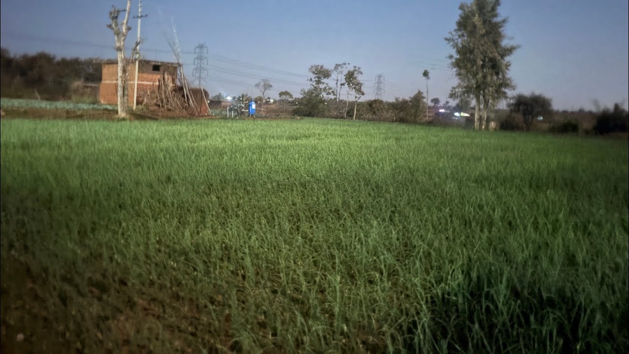 Aaj main kheti karte hue video liya