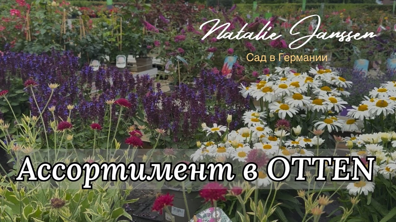 Продолжение 🌿 Садовые центр OTTEN - зелёное вдохновение 🌿