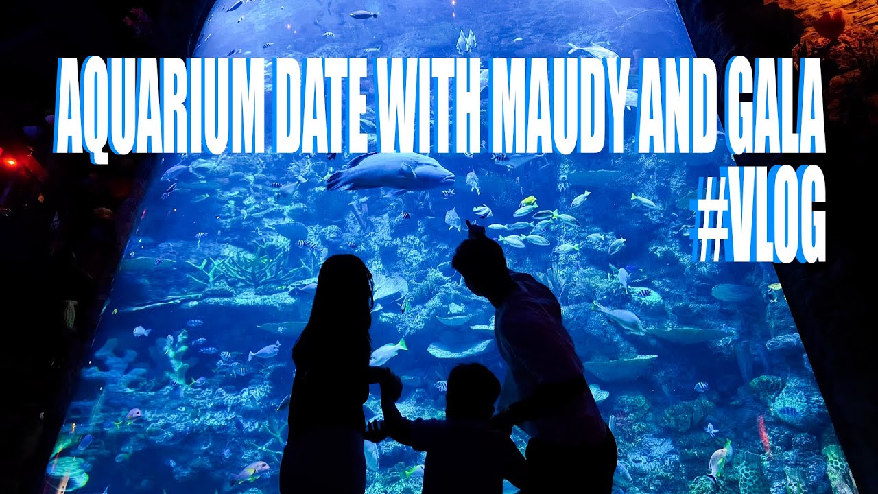 VLOG!!! AQUARIUM DATE WITH MAUDY AND GALA