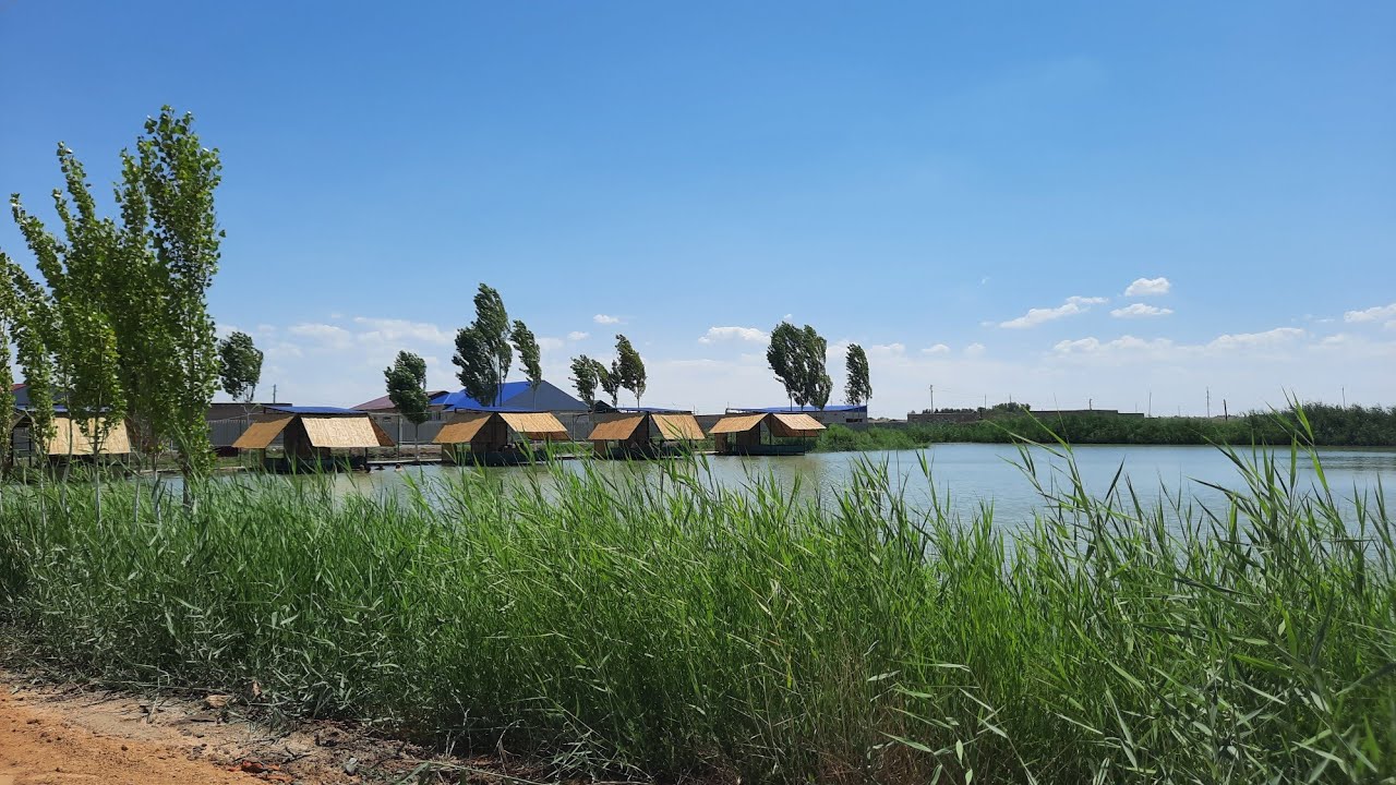 РЫБНЫЙ МИР ХОЖЕЛИ 🐟🦈🐡🐠