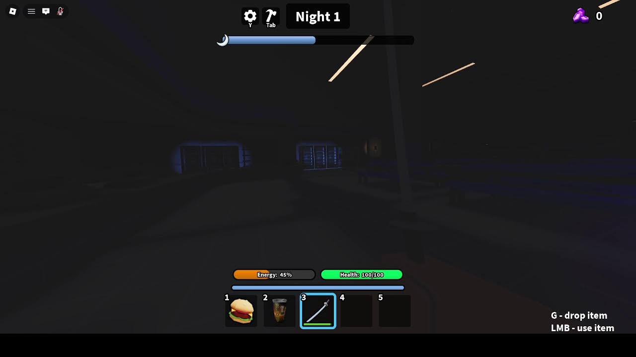playing roblox!!