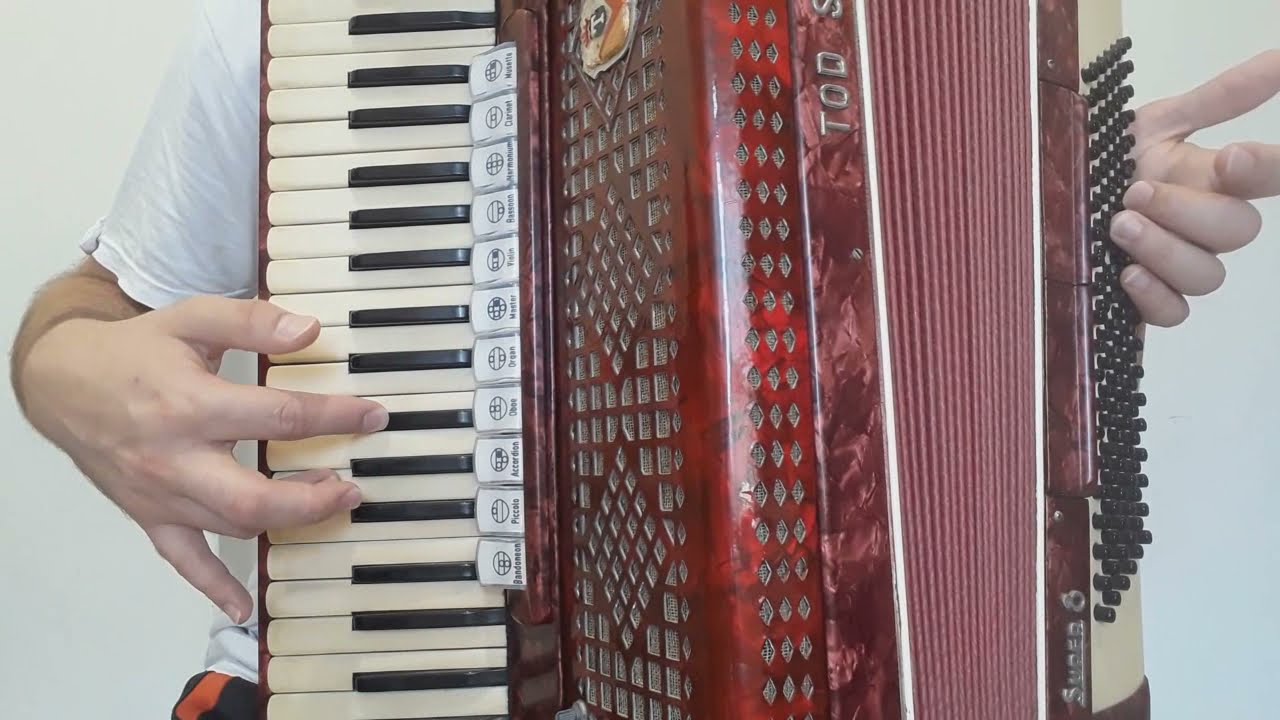 Desculpe Vídeo Aula Os Bertussi