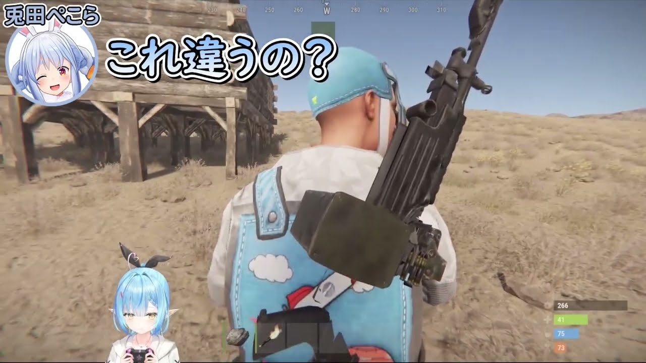 ホロ鯖の魔王に助けを求めた結果、散々な目に遭うラミィちゃんｗ | 両視点まとめ【ホロライブ/切り抜き/Vtuber/ 雪花ラミィ / 兎田ぺこら 】