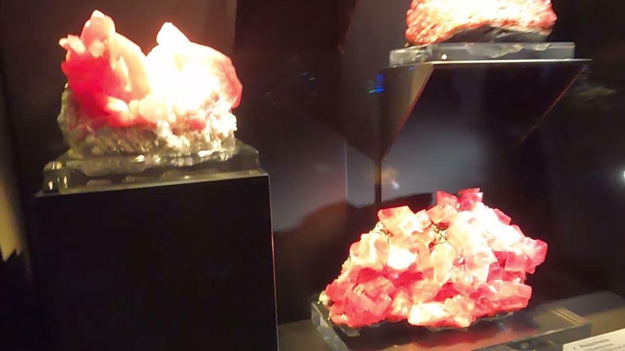 Yale Peabody Museum Walking Tour
