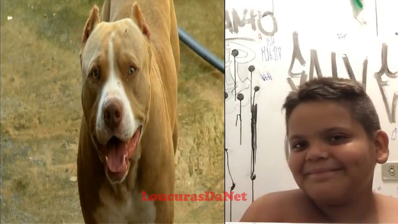 Gordinho Rindo Da Selfie Com Pitbull