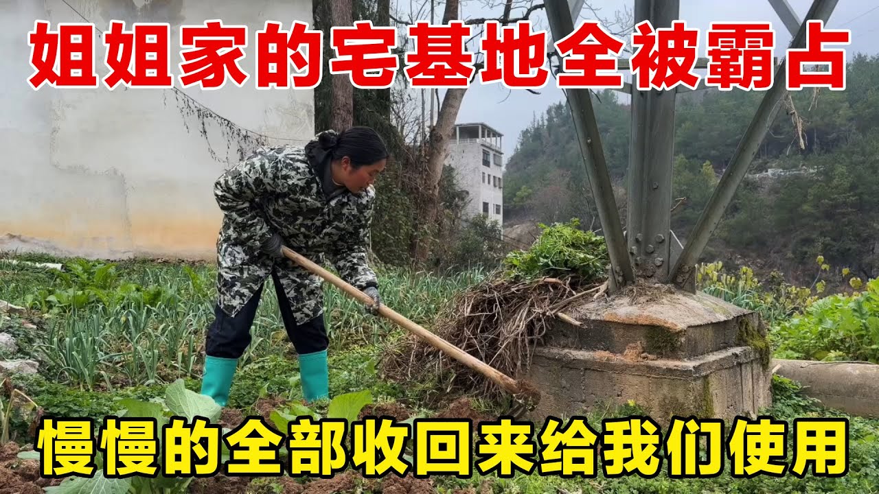 姐姐家的宅基地全被霸占，全部收回来给我们使用，以后回来就可以去自己地里摘菜吃了