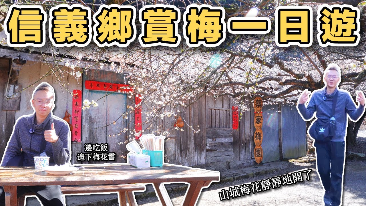 【ManLife】南投信義賞梅一日遊｜山城信義鄉外坪頂蔡家梅園古厝梅花悄悄的開花了Nantou Day Trip 《阿滿生活｜南投》