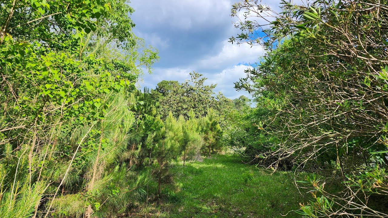 Walking Around The Property I Live On. I'm One Of The Luckiest Guys In The World!  🙂 ❤️🙏
