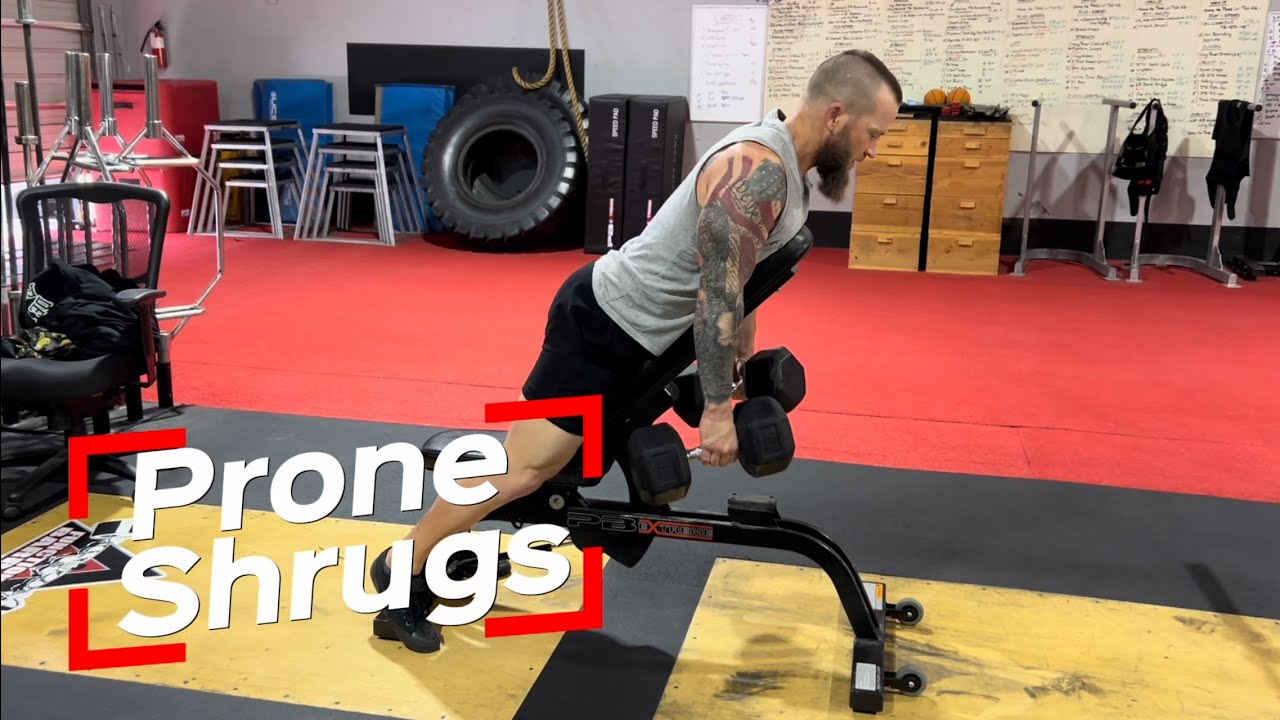 Prone Shrugs
