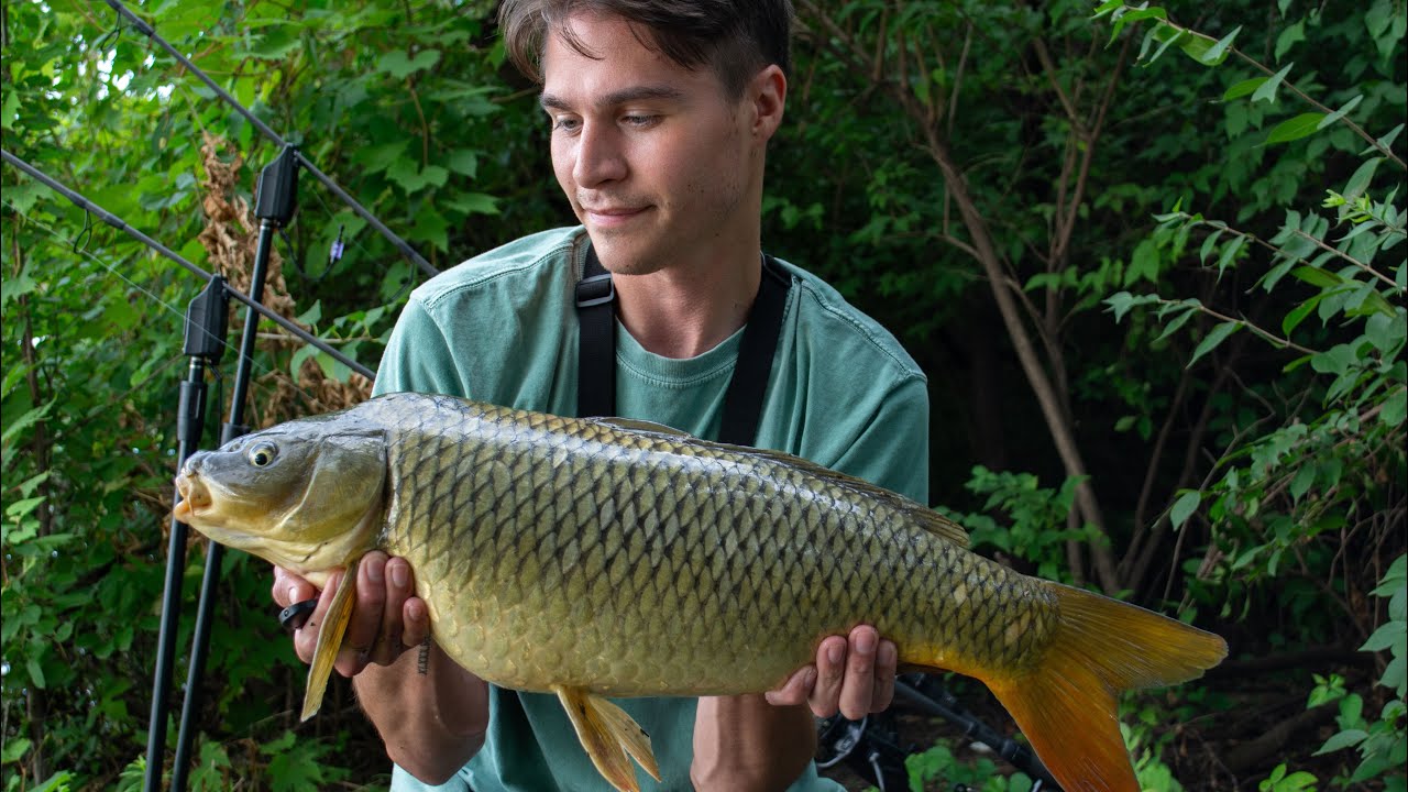 Factory Fishing- A Short Day Session