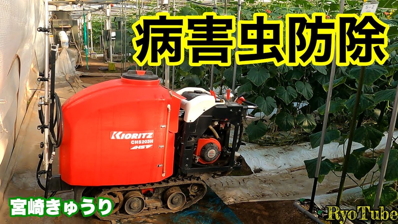 【宮崎きゅうり】病害虫防除　KIORITZクローラスプレーヤを使っての予防
