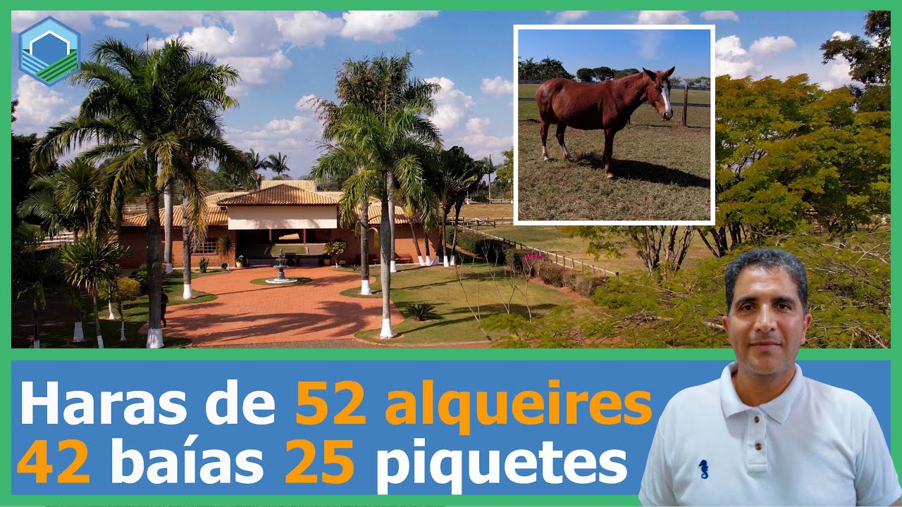 Haras Espetacular de 52 Alqueires no interior de SP