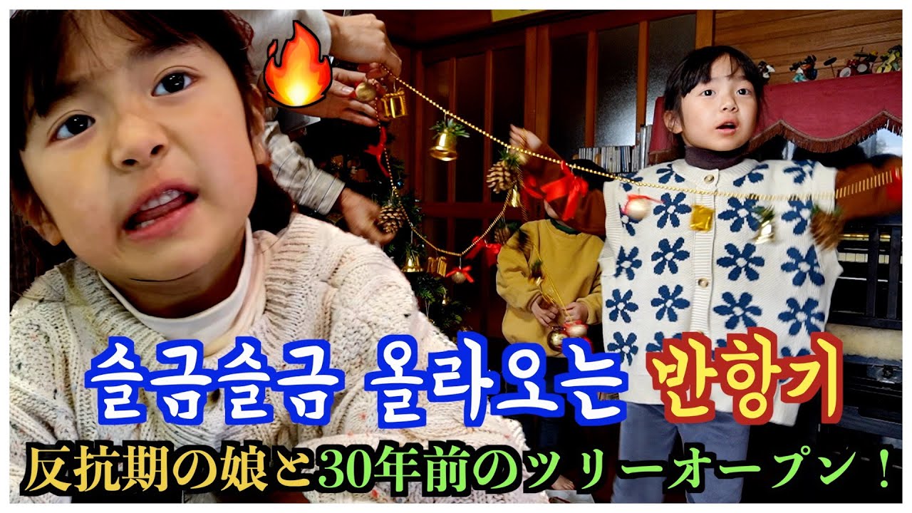 日本に来て反抗期!? 30年モノのツリーと一緒にメリークリスマス！일본의 절약정신! 30년간 사용한 크리스마스트리 장식!