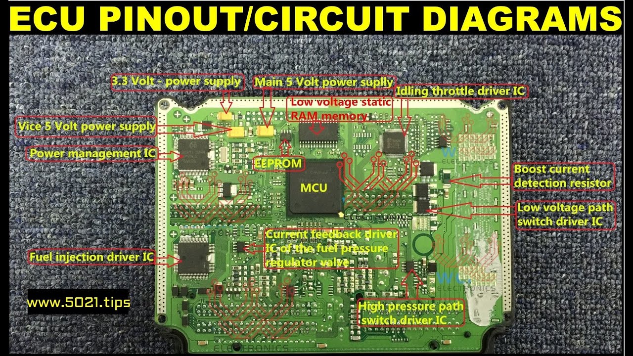 ECU PINOUT/CIRCUIT DIAGRAMS