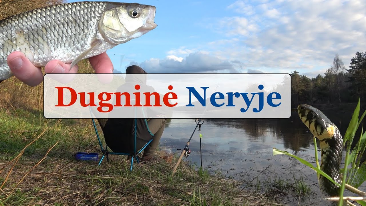 Dugninė Neryje - Gabrielius Ser