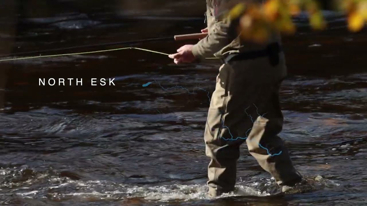 Balmakewan Fishing   North Esk