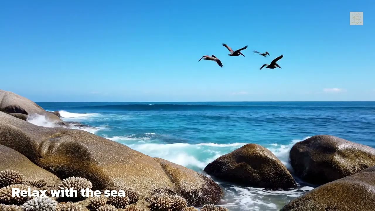🎧 Music Relax Sea Coral Light Piano – แสงนุ่มจากปะการังที่ส่องหัวใจให้สงบ