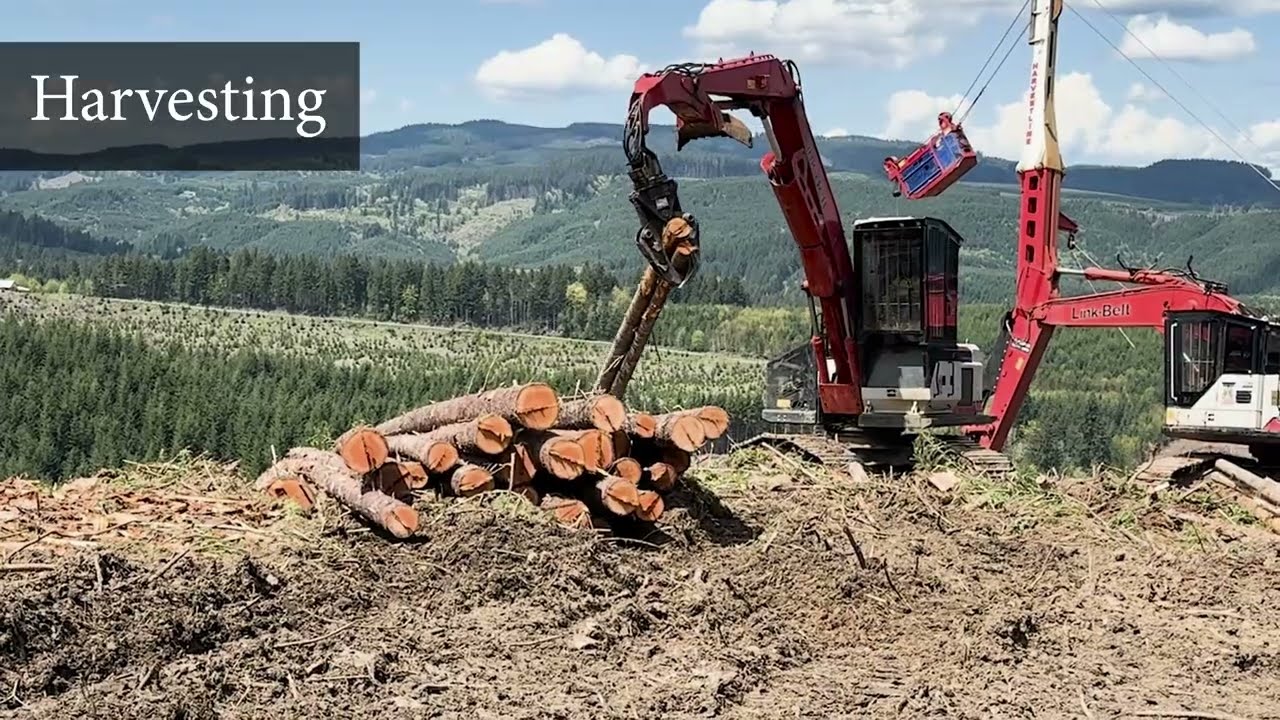 History & Framework of the Forest Practices Act