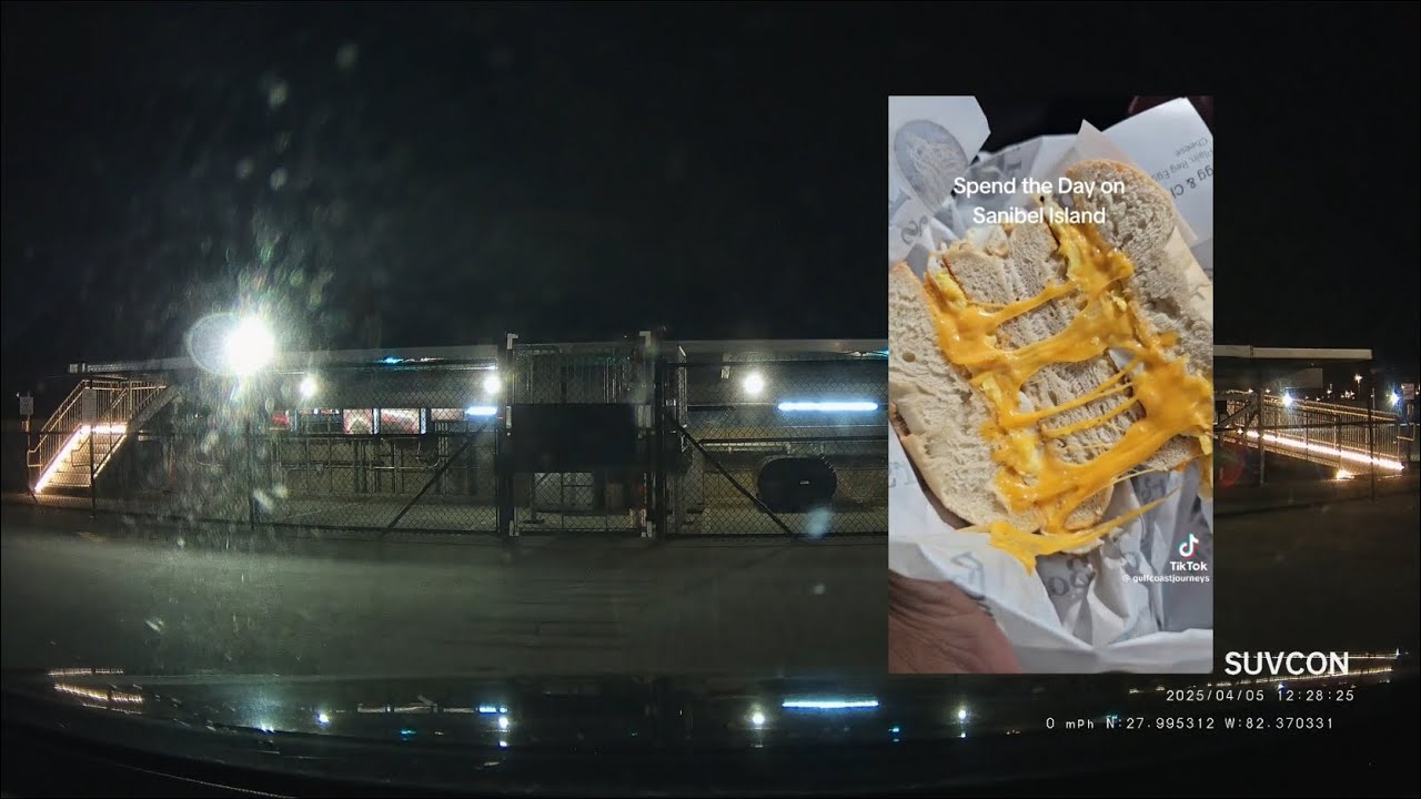 Funny Tik Tok Reaction on Dashcam
