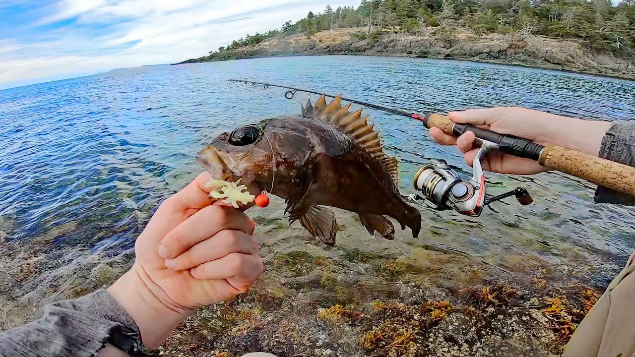 Micro Fishing Saltwater Bay!