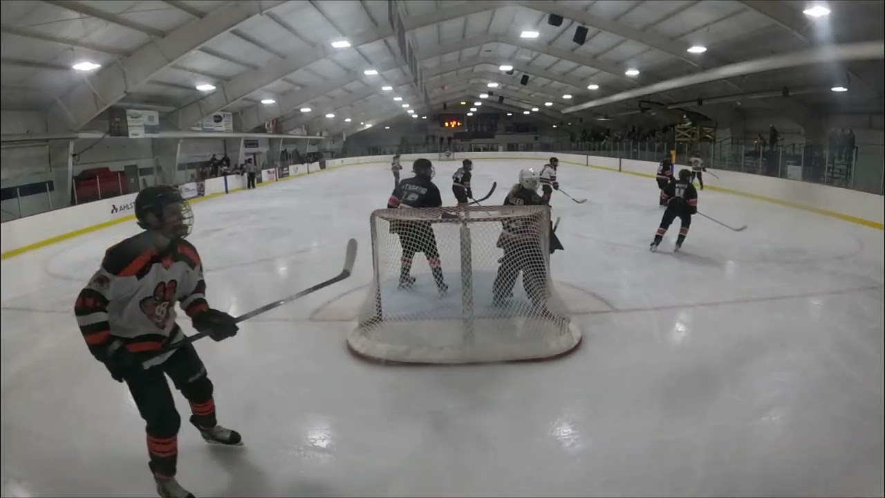 Oregon vs New Richmond - WAHA State - 02212026