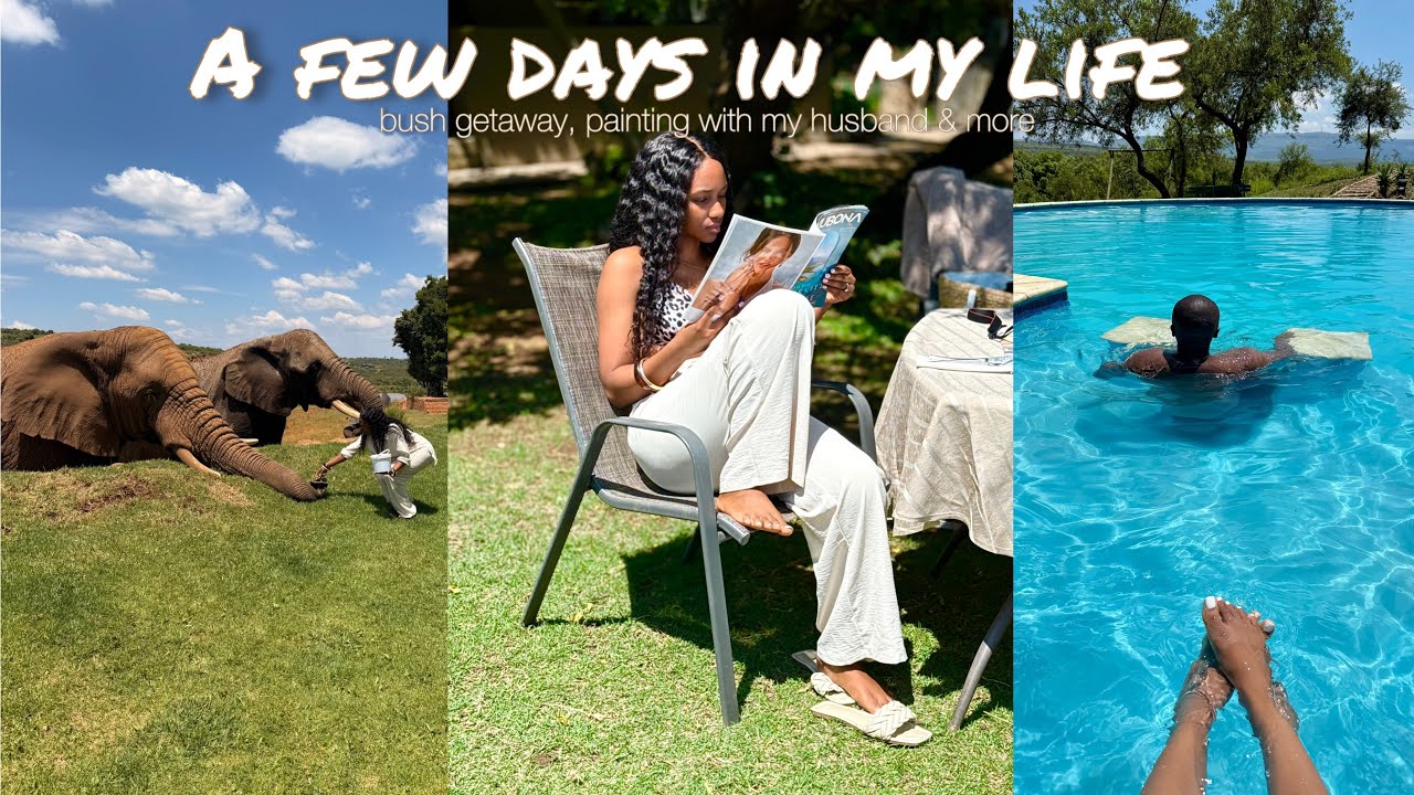#weeklyvlog : a bush getaway weekend 🦓, grocery haul, painting with my husband 🎨