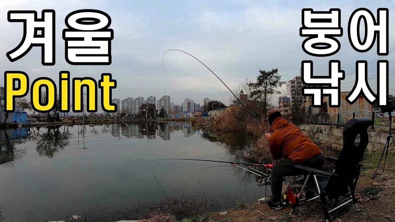 동절기 붕어낚시 포인트 (주소:대들면 걸리리2-1) 차대고 바로!