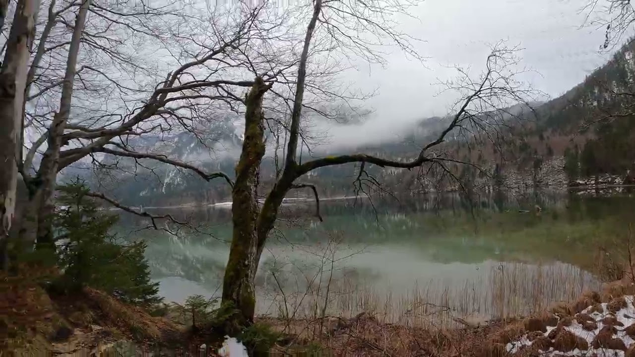 Neuschwansteinschloss - Alpsee-6