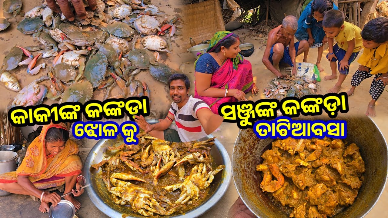 କାକୀଙ୍କ କଙ୍କଡ଼ା ଝୋଳକୁ ସଞ୍ଜୁଙ୍କ କଙ୍କଡ଼ା ତାଟିଆବସା || Odia Family Vlog || Tapan Sanju Family Vlog
