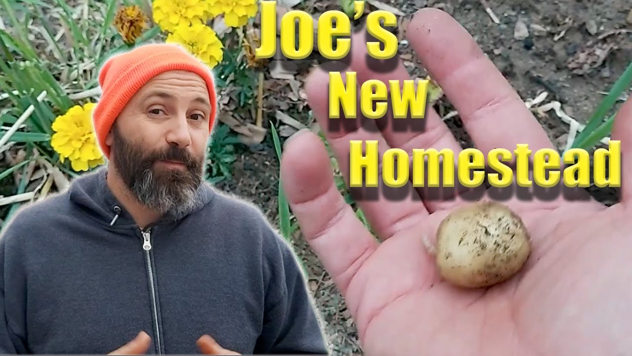 Joe's New Vegan Homestead Tour Part 1