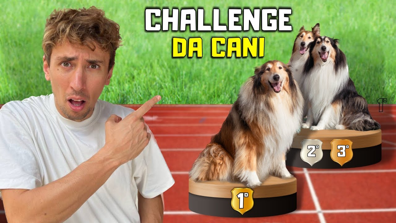 PROVO CHALLENGE VIRALI con i MIEI CANI