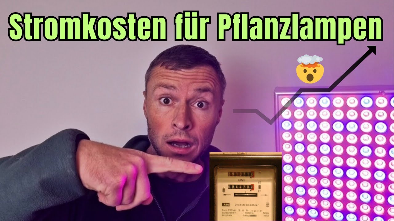 Wie teuer ist der Strom für Pflanzlampen wirklich? 💸🌱