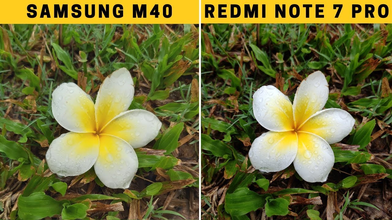 Samsung M40 Vs Redmi Note 7 Pro Detailed CAMERA TEST!!🔥🔥