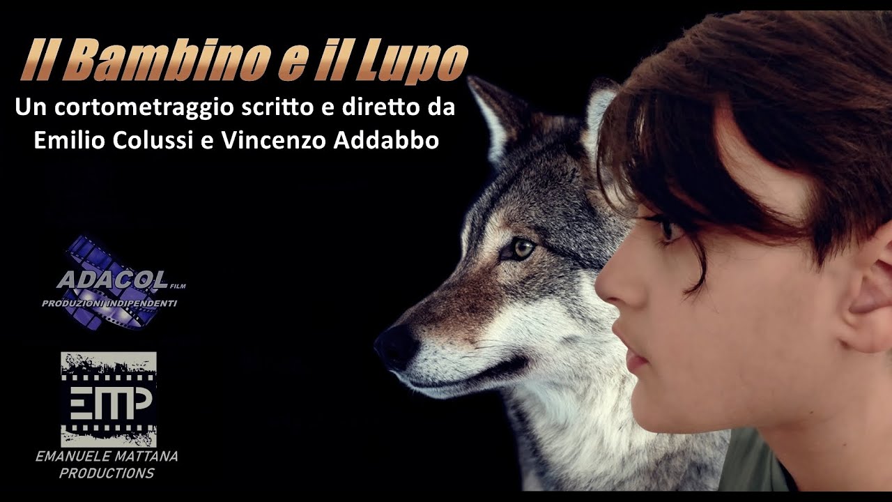 Il bambino e il lupo Cortometraggio 2025