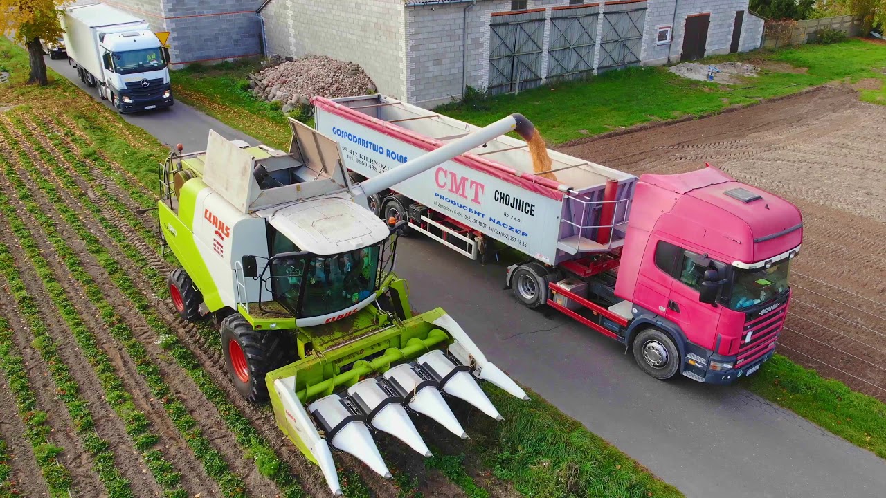 Zbiór kukurydzy 2019 [Corn Harvest 2019] |DKC 3441| |10 t/ha| CLAAS TUCANO 320/ DJI MAVIC AIR