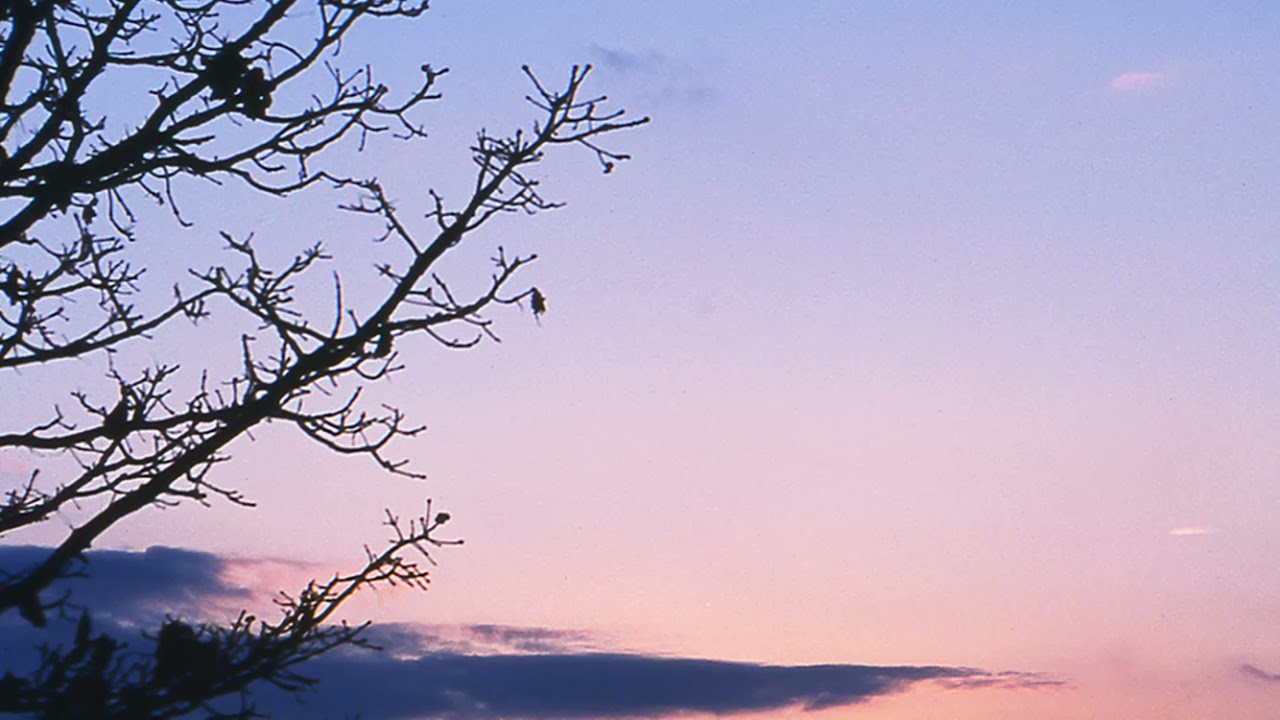 004.小提琴(Violin) Morning Has Broken