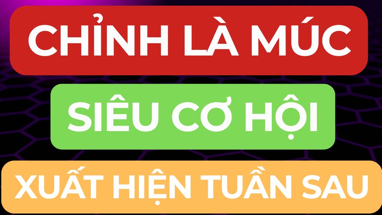 🔴CHỈNH LÀ MÚC I CƠ HỘI CỰC LỚN Ở NHỊP ĐIỀU CHỈNH TUẦN SAU