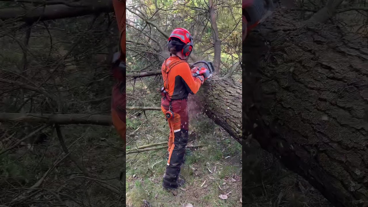 New Husqvarna 564XP #chainsaw #husqvarna #564xp #fuelinjection