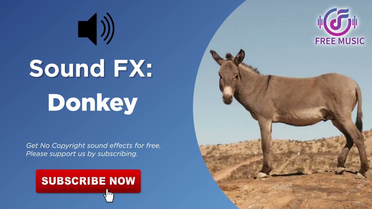 Donkey Sound Effect