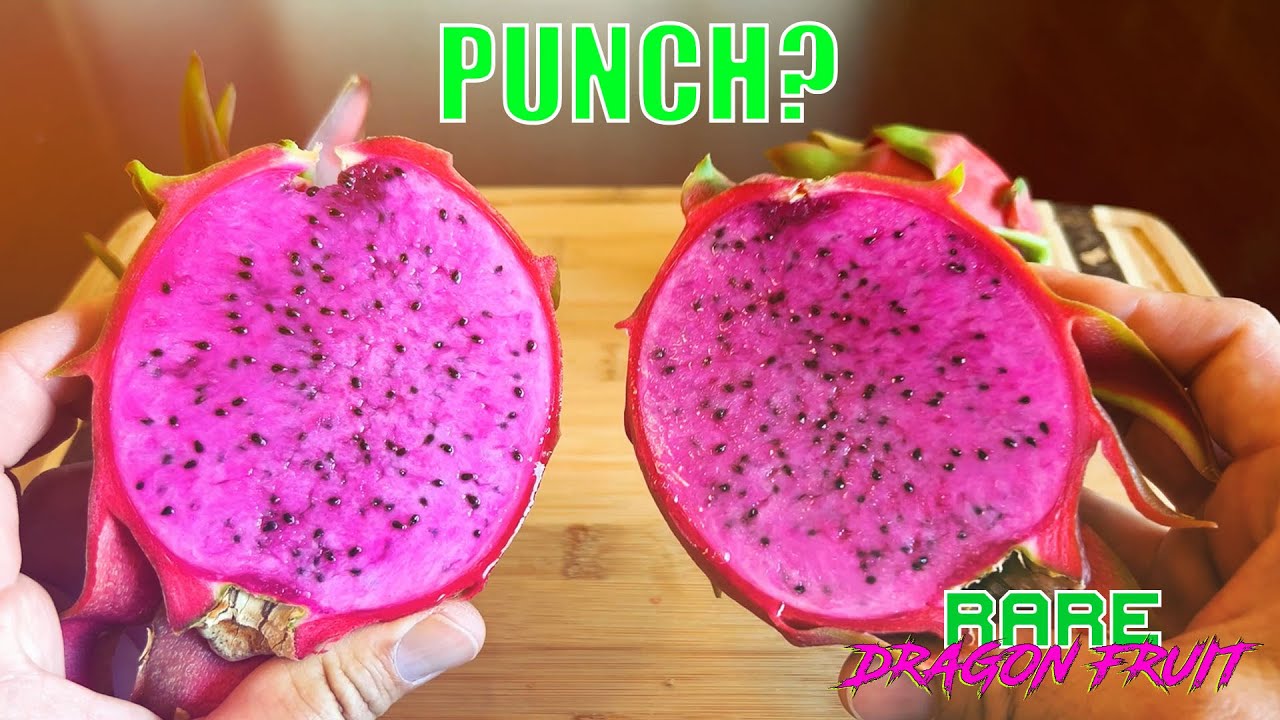 LEO's '3-S RED' DRAGON FRUIT TASTE and REVIEW / IS THIS the FABLED DRAGON FRUIT Called 'PUNCH'